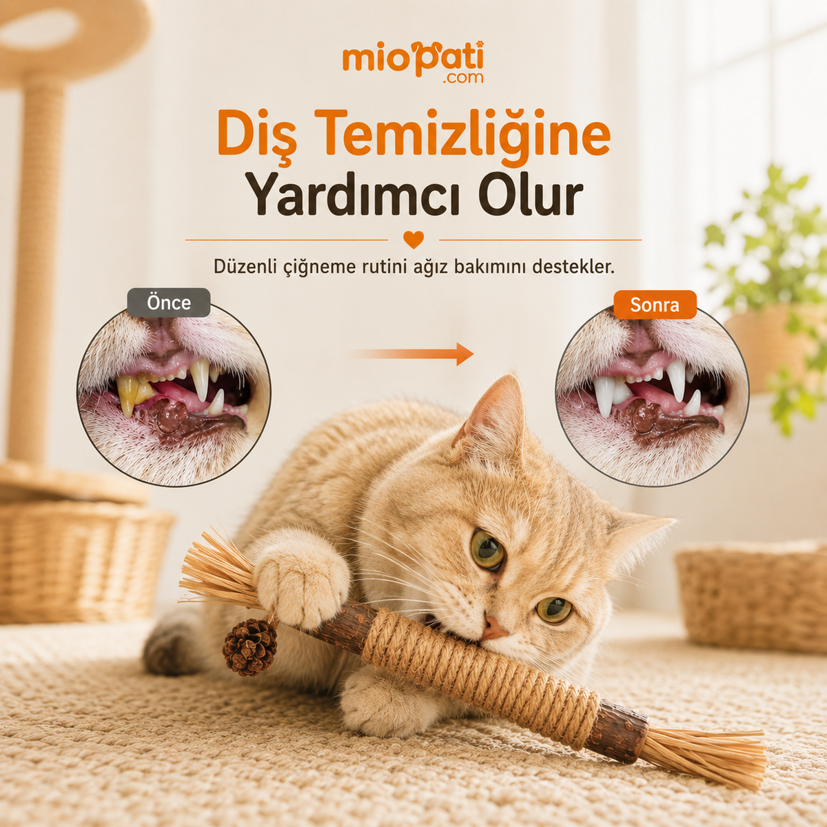 MioStick™ Doğal Çiğneme Çubuğu