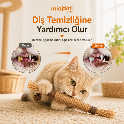 MioStick™ Doğal Çiğneme Çubuğu