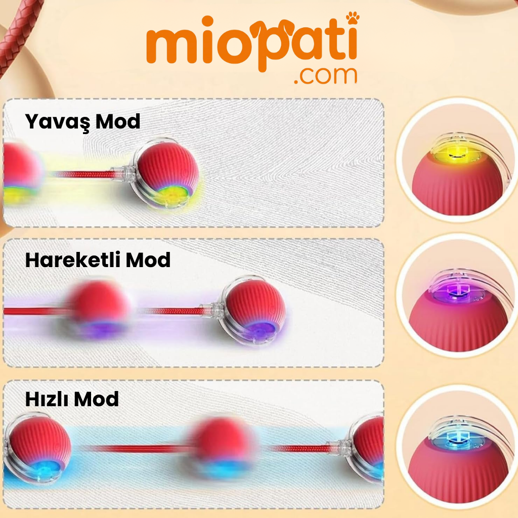 MioBall™ Kuyruklu Hareket Eden Aktivite Topu