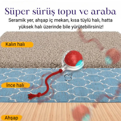 MioBall™ Kuyruklu Hareket Eden Aktivite Topu